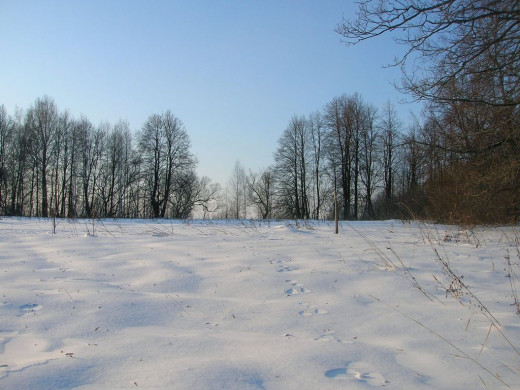 23381 (a): :1024x768